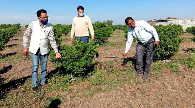 हरियाणा से सटे 32 गांवो की खतौनी बनाने को लेकर काम शुरू