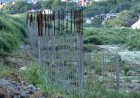 बीरबल की खिचड़ी बना चिल्ला एलीवेटिड