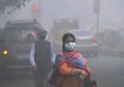 भारत के सबसे प्रदूषित 42 शहरों में अकेले यूपी से पांच शहर