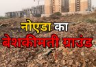 नोएडा में बेशकीमती जमीन पर बना डंपिंग ग्राउंड