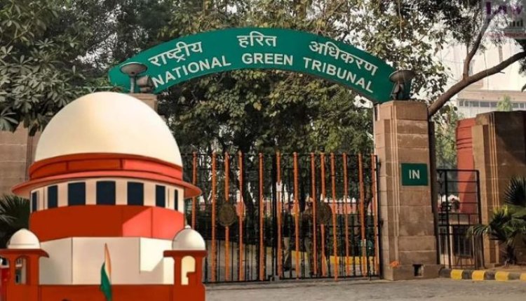 NGT अदालत में आज पेश होंगे CEO व पूर्व DGM, हलफनामे की सुनवाई कल