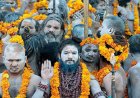 सनातन के प्राण, महाकुंभ की शान नागा साधु